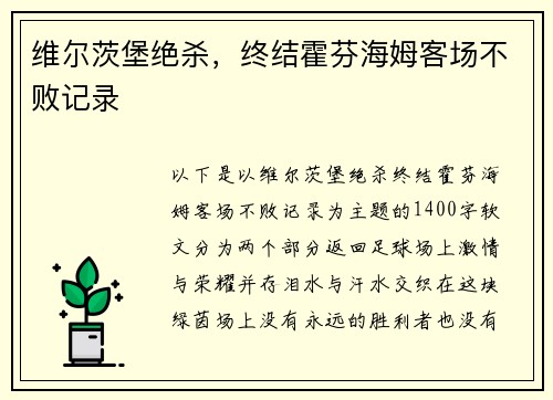 维尔茨堡绝杀，终结霍芬海姆客场不败记录